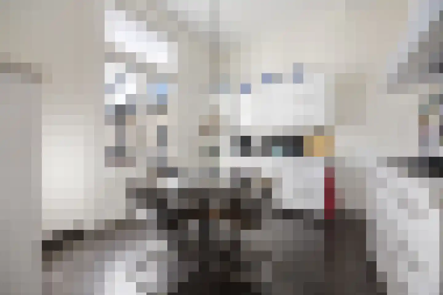 Oude Velperweg 12 Arnhem thumbnail 17