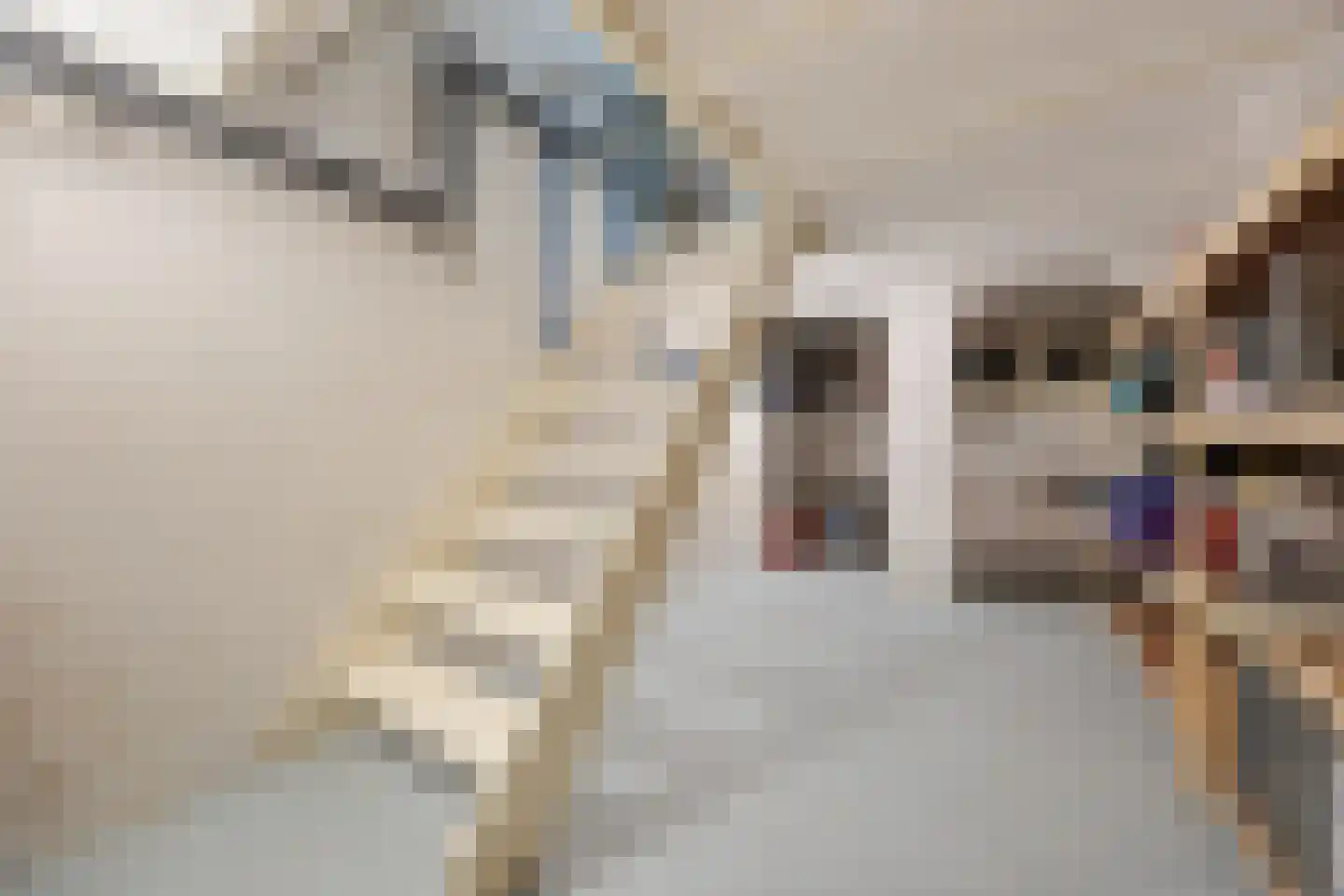 Oude Velperweg 12 Arnhem thumbnail 22