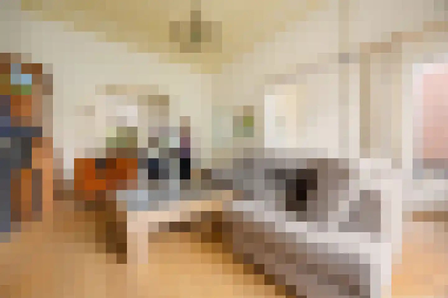 Oude Velperweg 12 Arnhem thumbnail 31