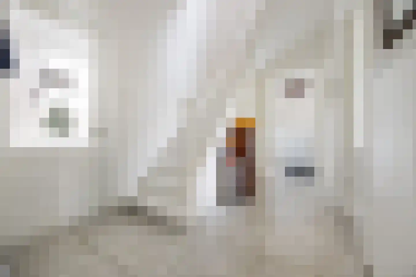 Oude Velperweg 12 Arnhem thumbnail 34