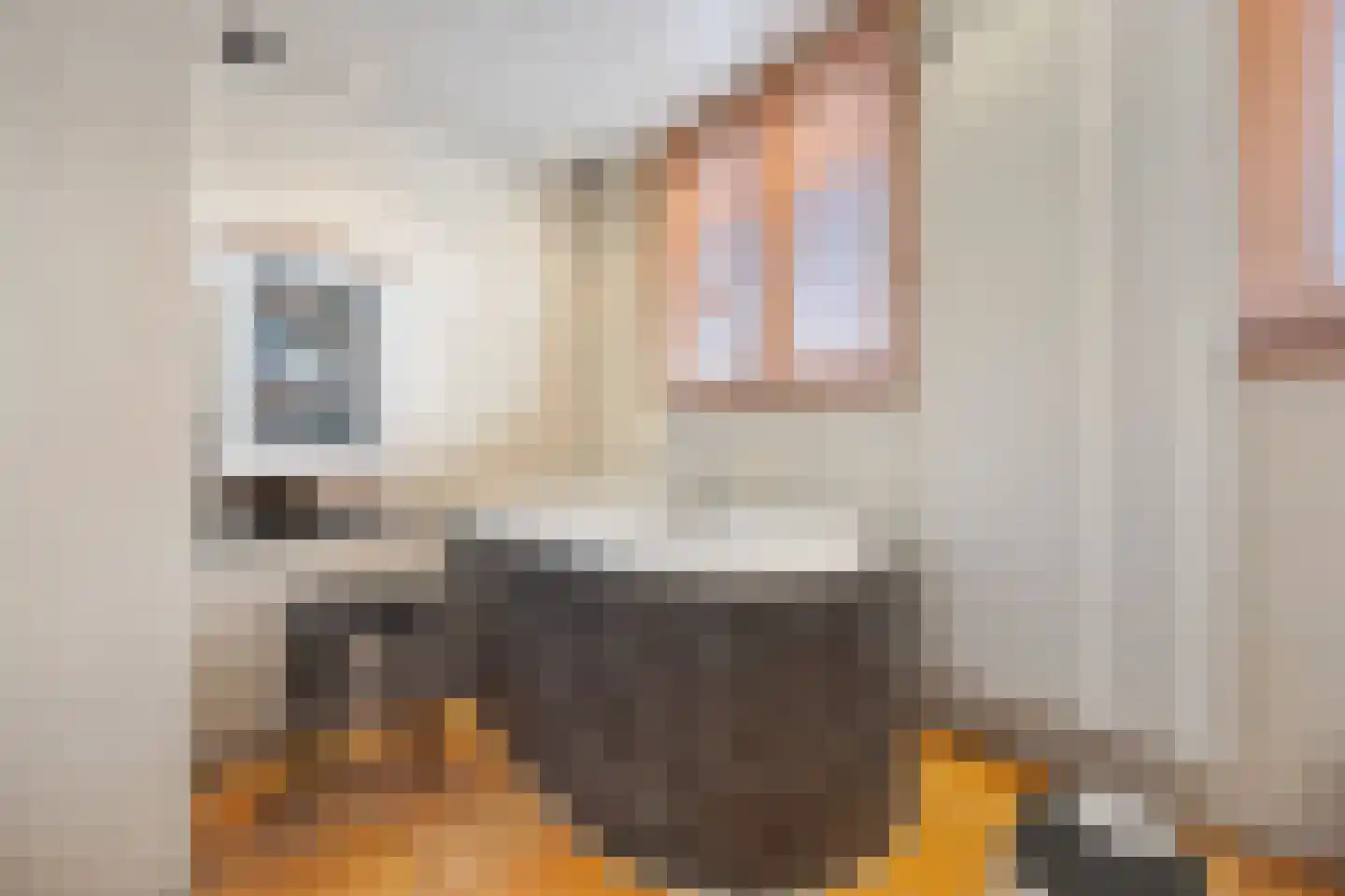 Oude Velperweg 12 Arnhem thumbnail 37