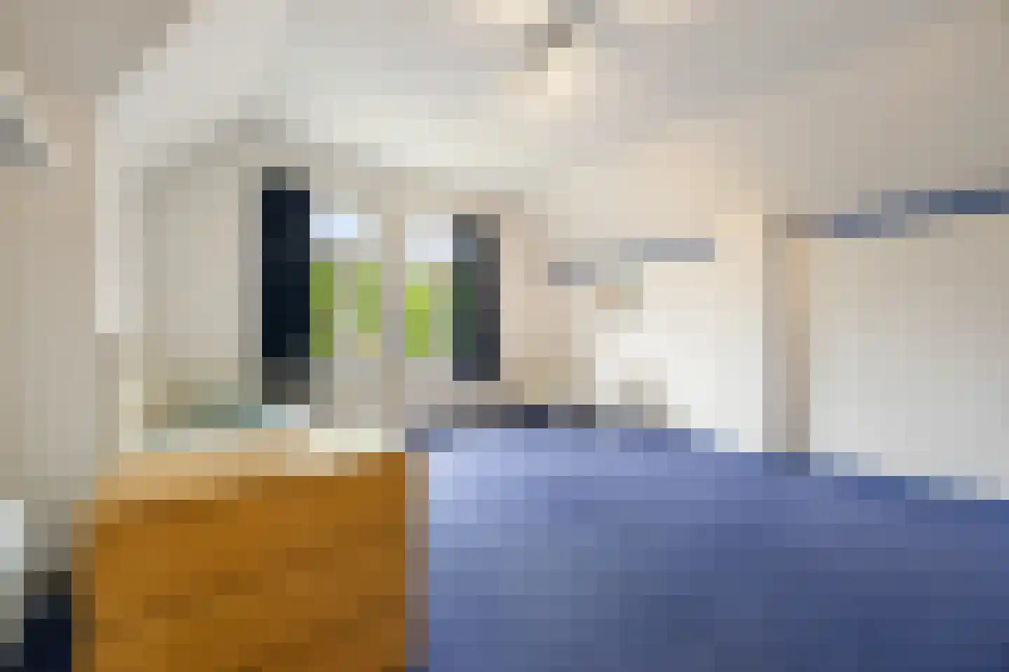 Oude Velperweg 12 Arnhem thumbnail 46