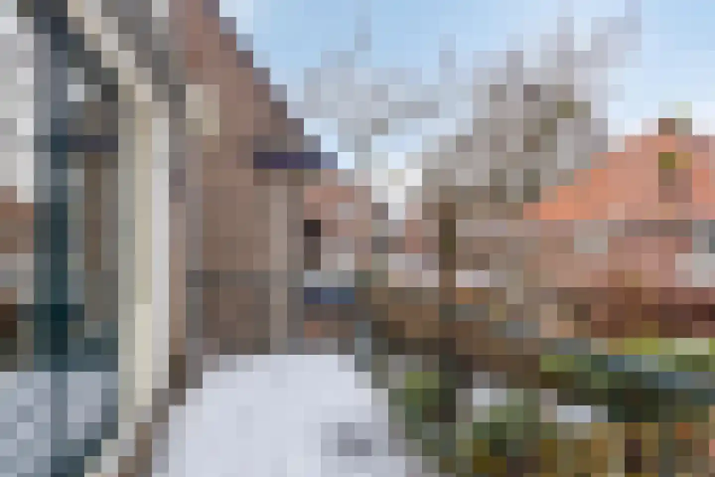 Oude Velperweg 2 Arnhem thumbnail 10