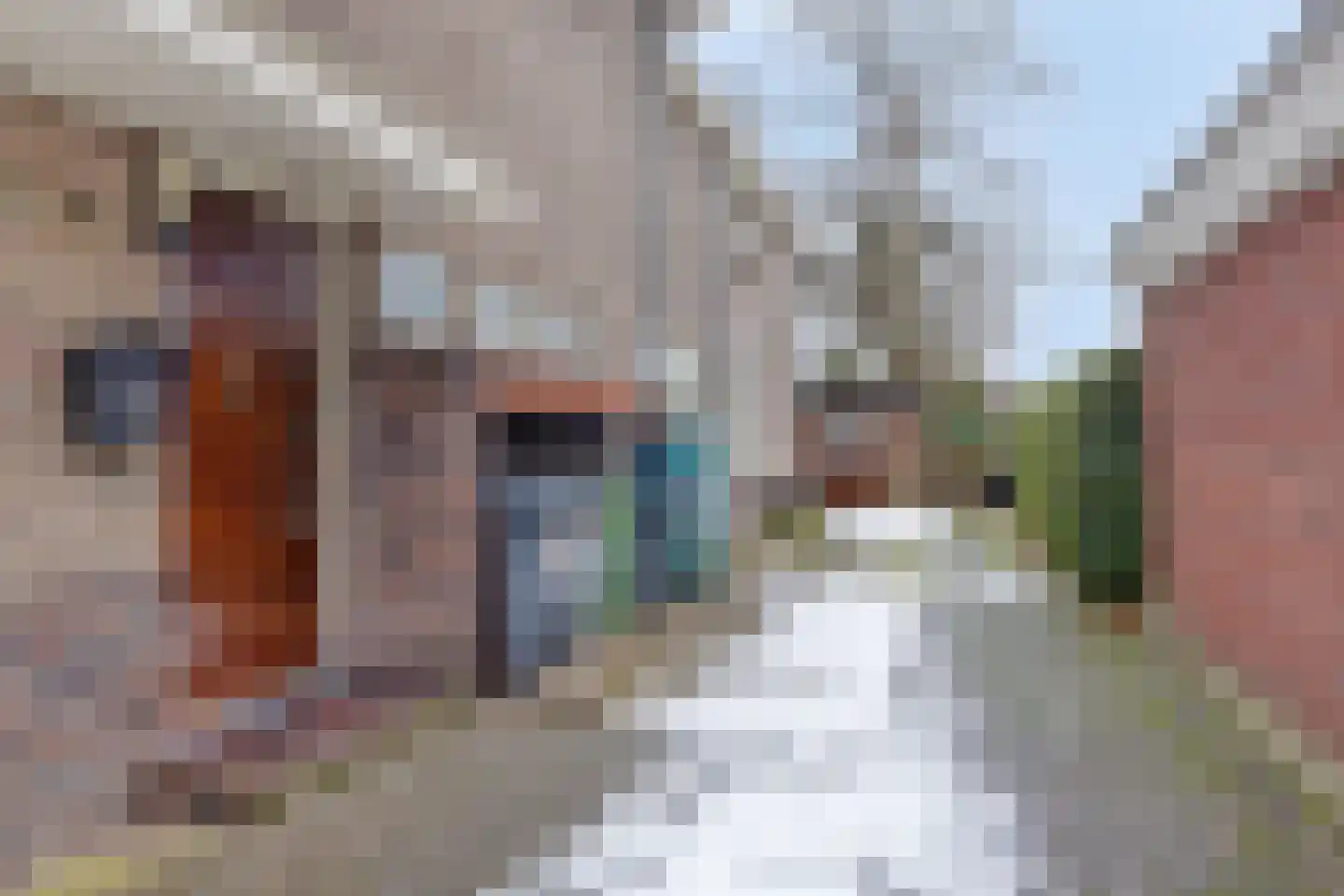 Oude Velperweg 2 Arnhem thumbnail 54