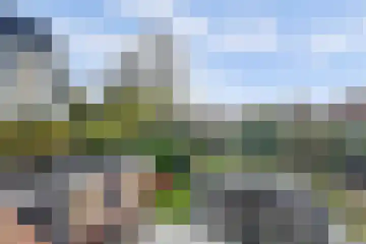 Oude Velperweg 30 Arnhem thumbnail 36