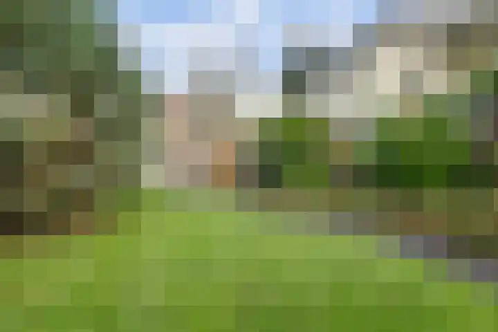 Oude Velperweg 30 Arnhem thumbnail 40
