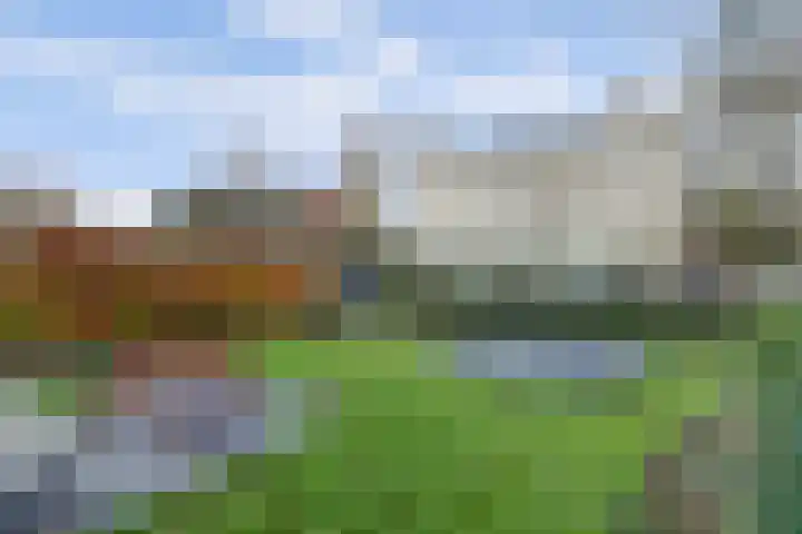 Oude Velperweg 30 Arnhem thumbnail 49