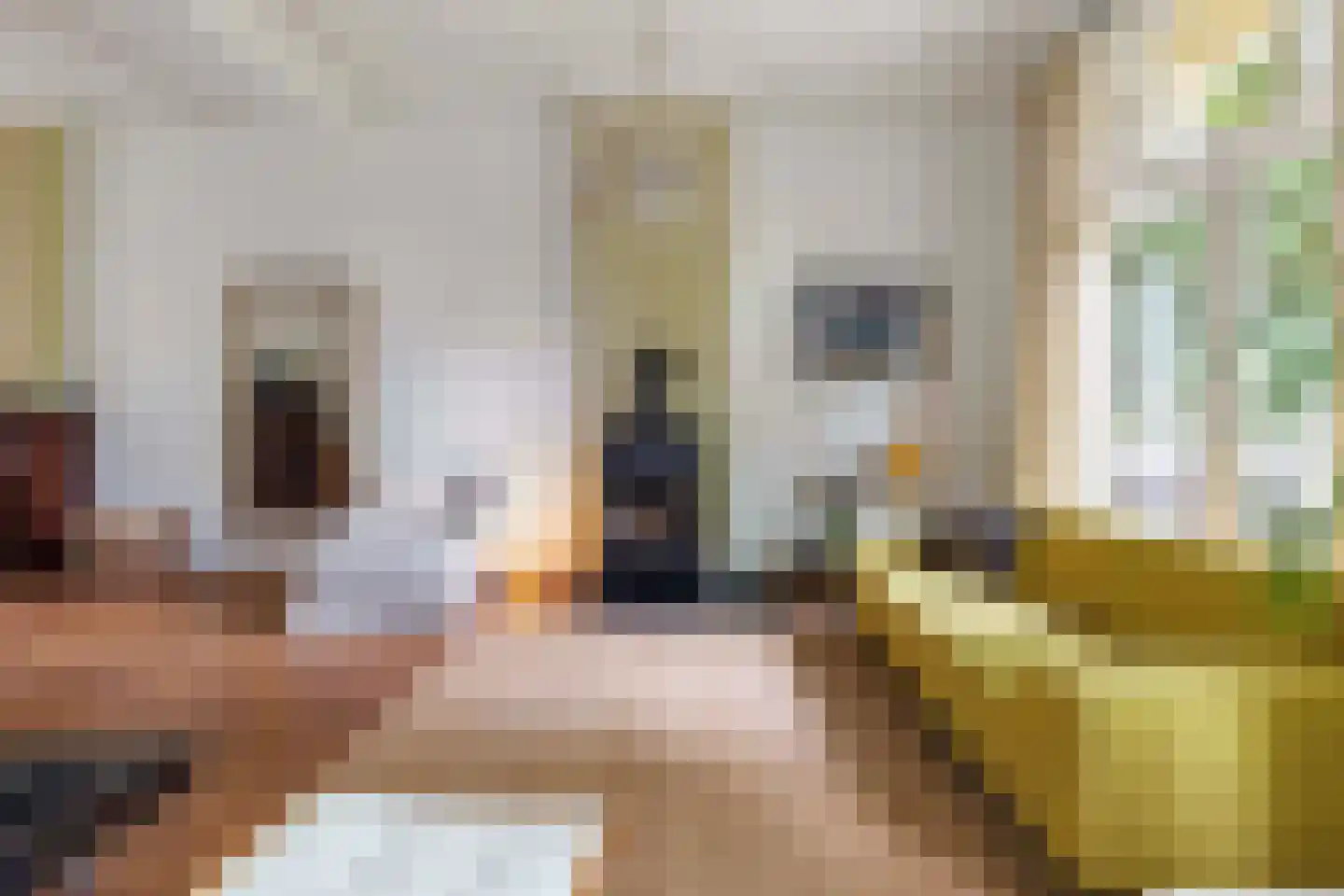 Oude Velperweg 33 Arnhem thumbnail 18