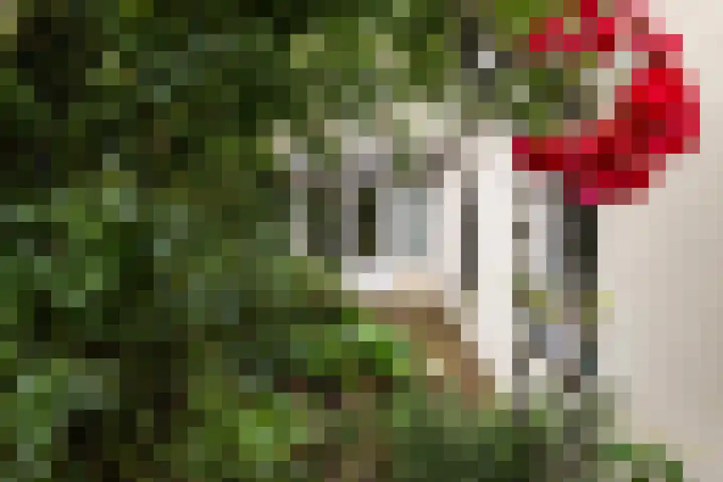 Oude Velperweg 33 Arnhem thumbnail 29