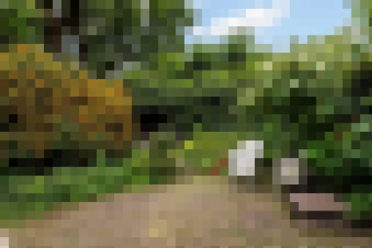Oude Velperweg 33 Arnhem thumbnail 30
