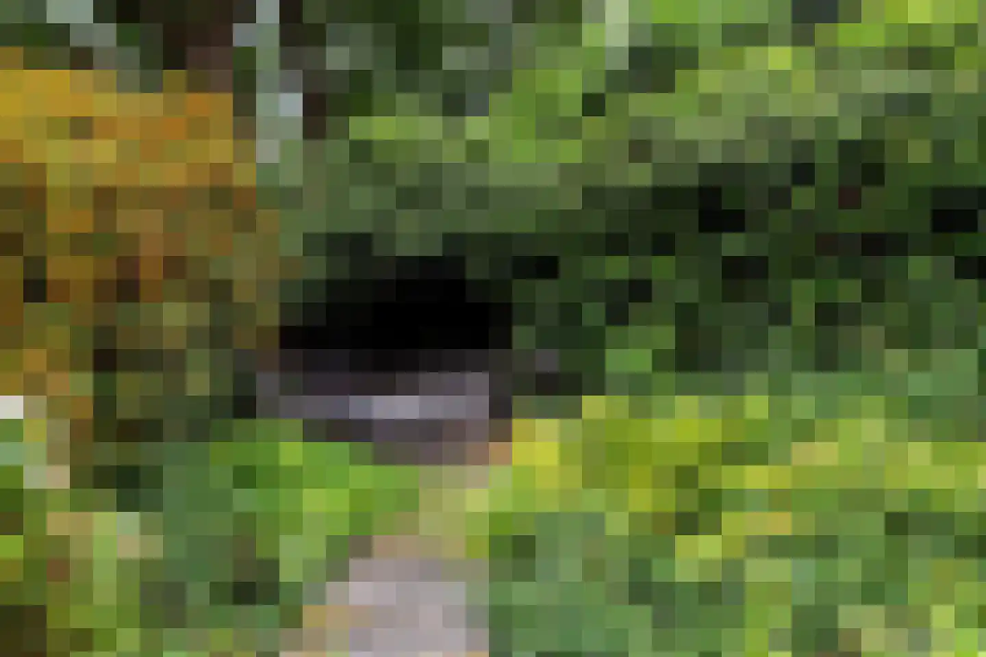Oude Velperweg 33 Arnhem thumbnail 31