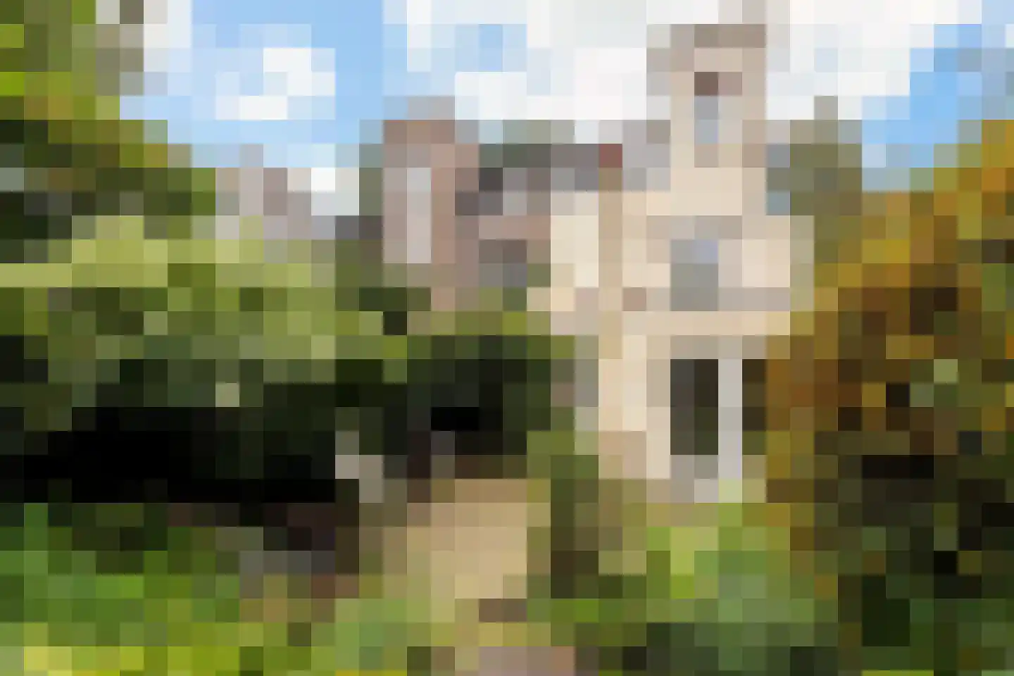 Oude Velperweg 33 Arnhem thumbnail 32