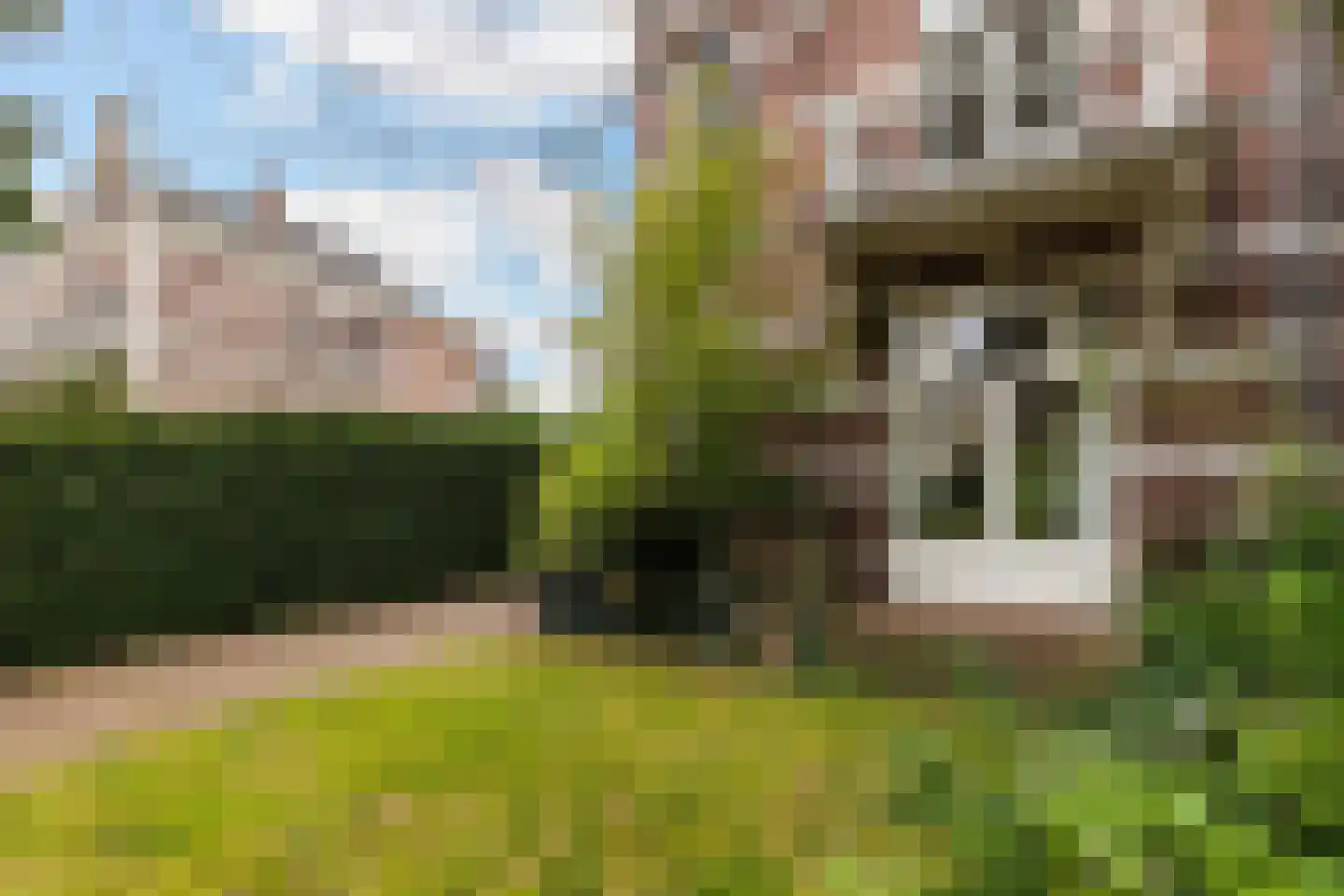 Oude Velperweg 33 Arnhem thumbnail 5