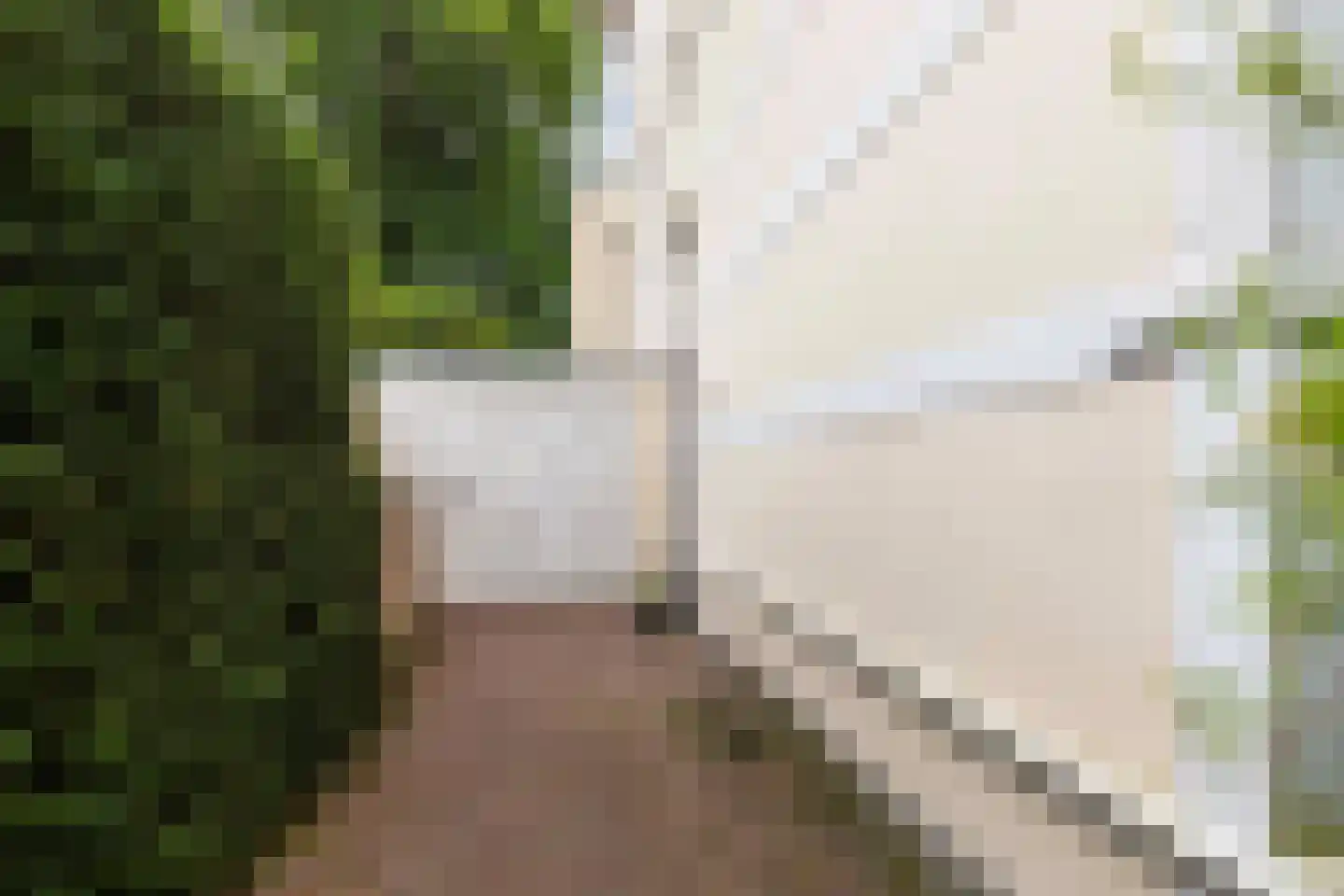 Oude Velperweg 33 Arnhem thumbnail 6