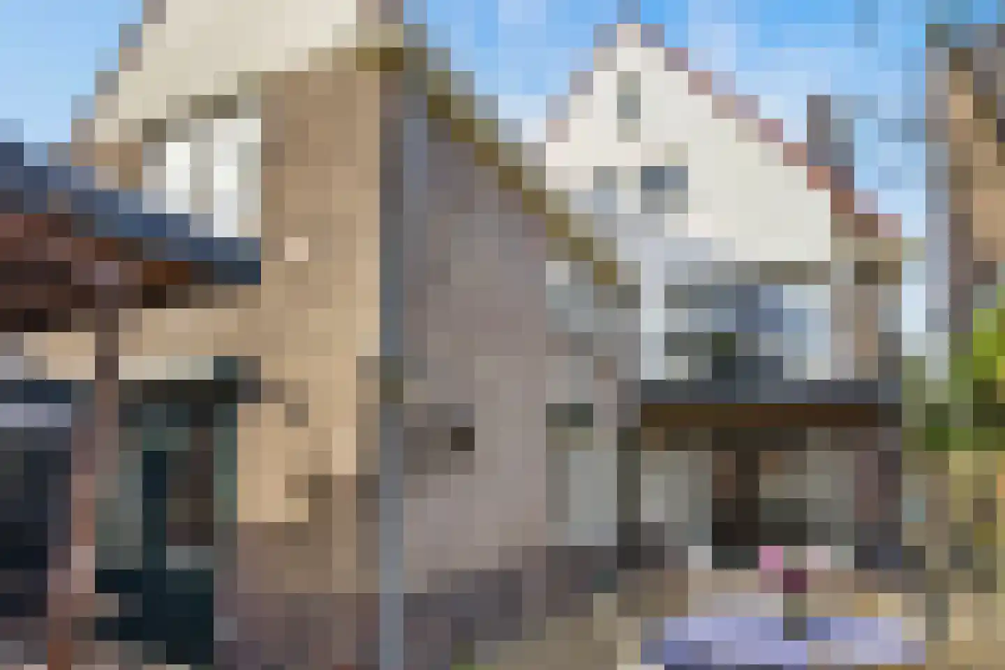 Oude Velperweg 4 Arnhem thumbnail 27