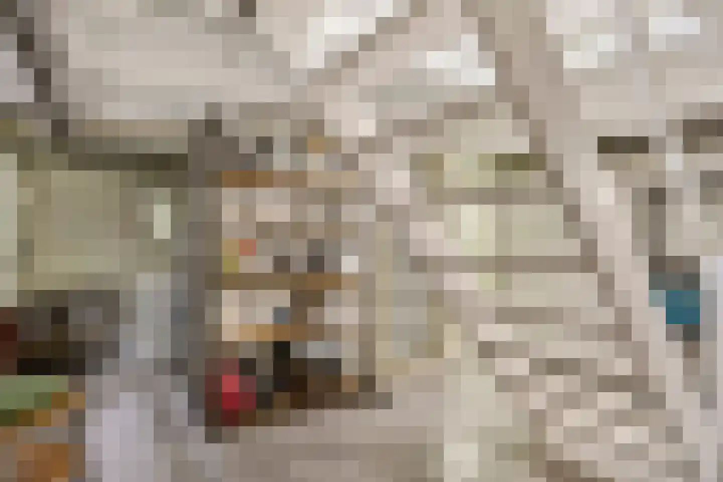 Oude Velperweg 4 Arnhem thumbnail 30
