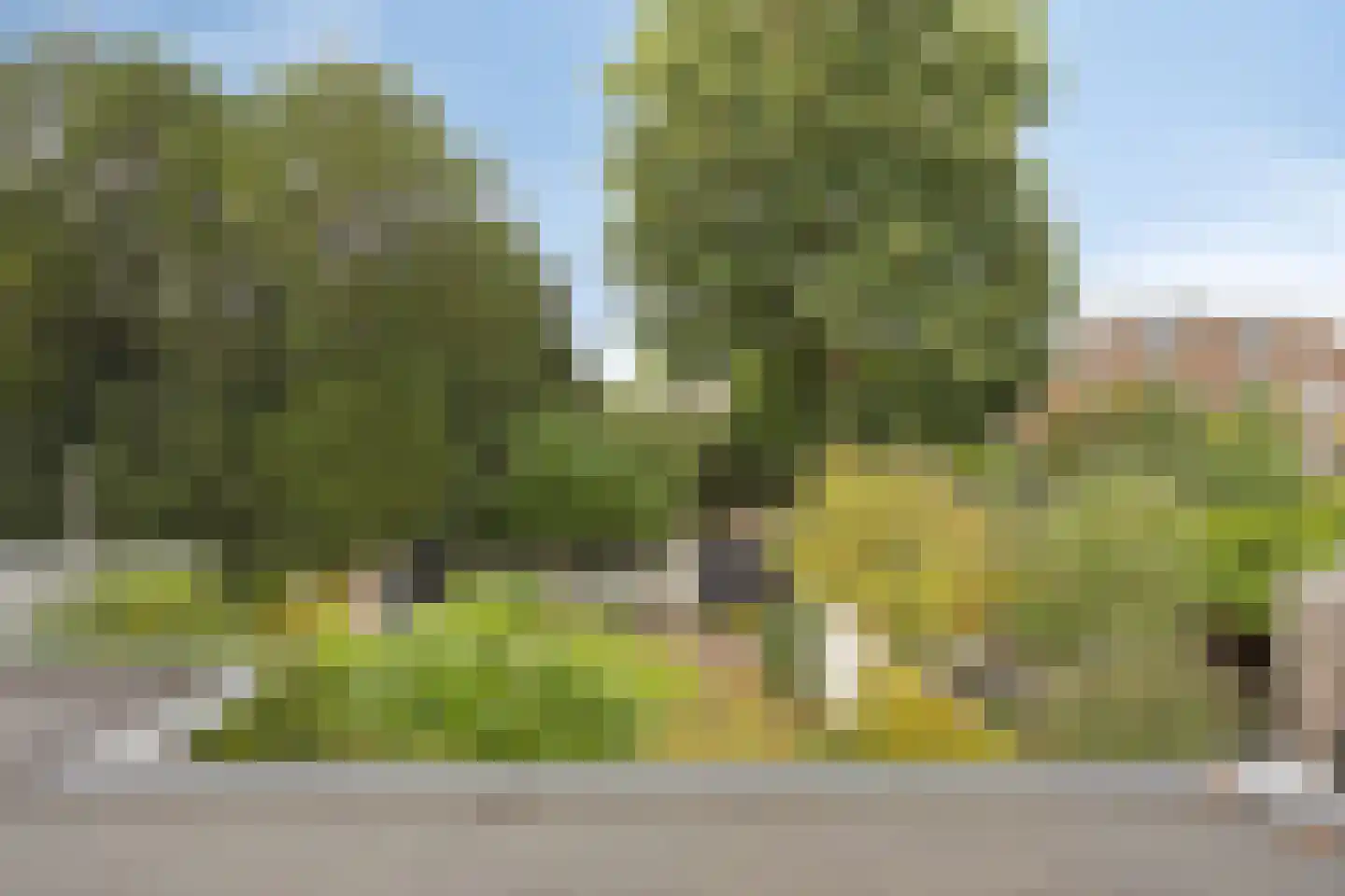 Oude Velperweg 43 Arnhem thumbnail 28