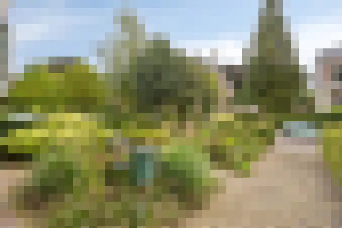 Oude Velperweg 43 Arnhem thumbnail 45