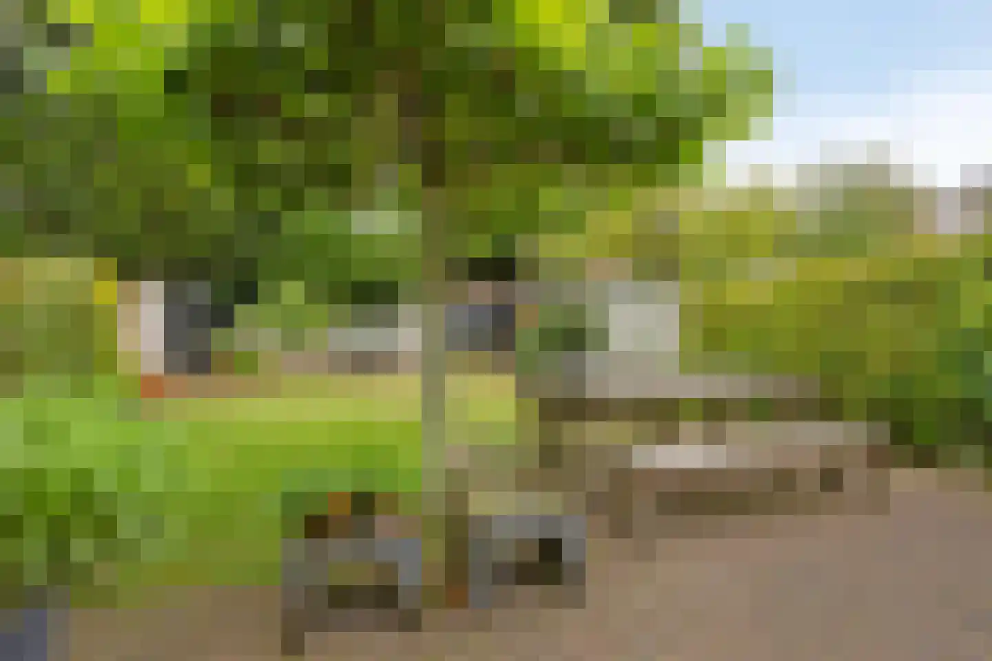 Oude Velperweg 43 Arnhem thumbnail 47