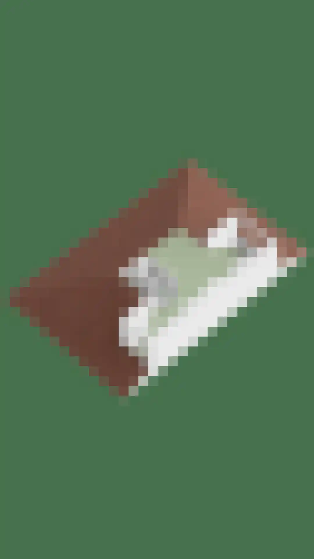 Oude Velperweg 43 Arnhem thumbnail 60