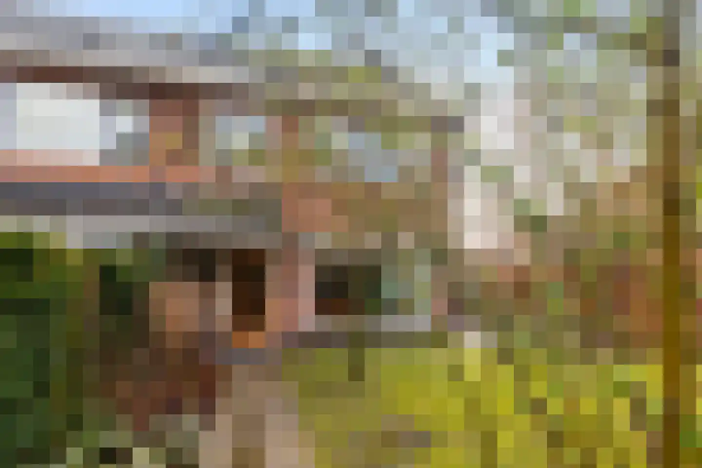 Oude Velperweg 58 Arnhem thumbnail 5