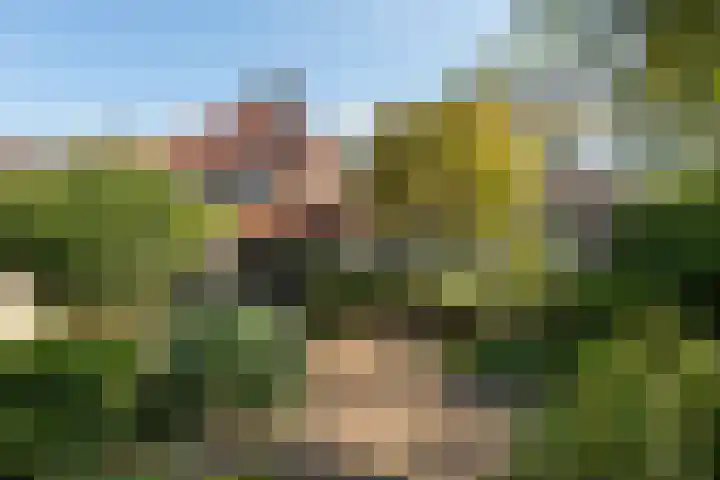 Oude Velperweg 61 Arnhem thumbnail 13