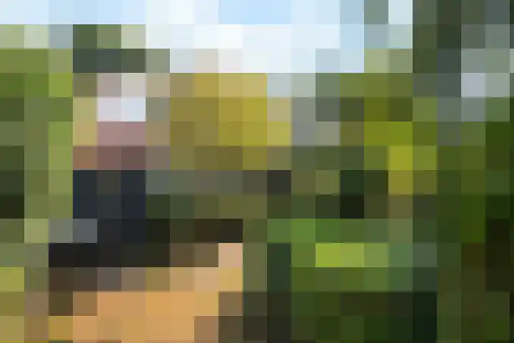 Oude Velperweg 61 Arnhem thumbnail 14