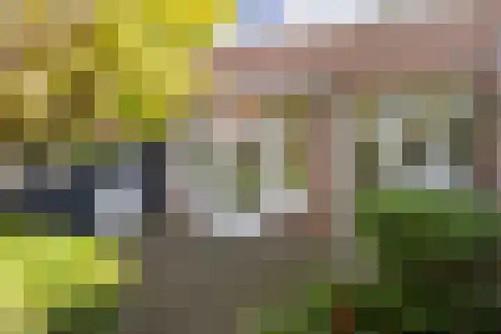 Oude Velperweg 61 Arnhem thumbnail 15