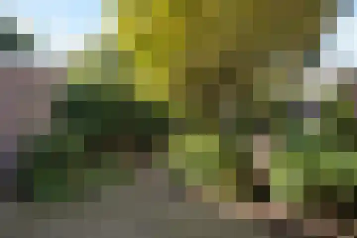 Oude Velperweg 61 Arnhem thumbnail 16