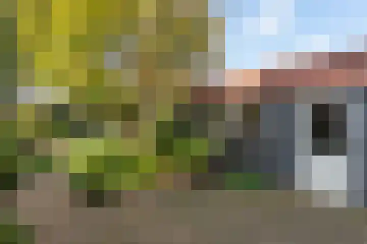 Oude Velperweg 61 Arnhem thumbnail 17