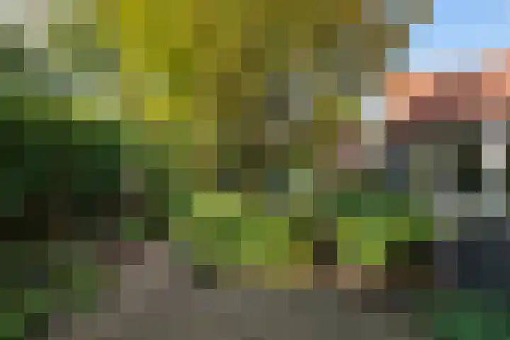 Oude Velperweg 61 Arnhem thumbnail 18