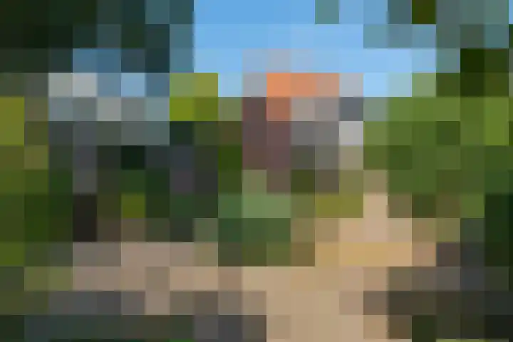 Oude Velperweg 61 Arnhem thumbnail 19