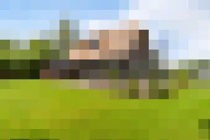 Oude Venen 29 Warten thumbnail 15