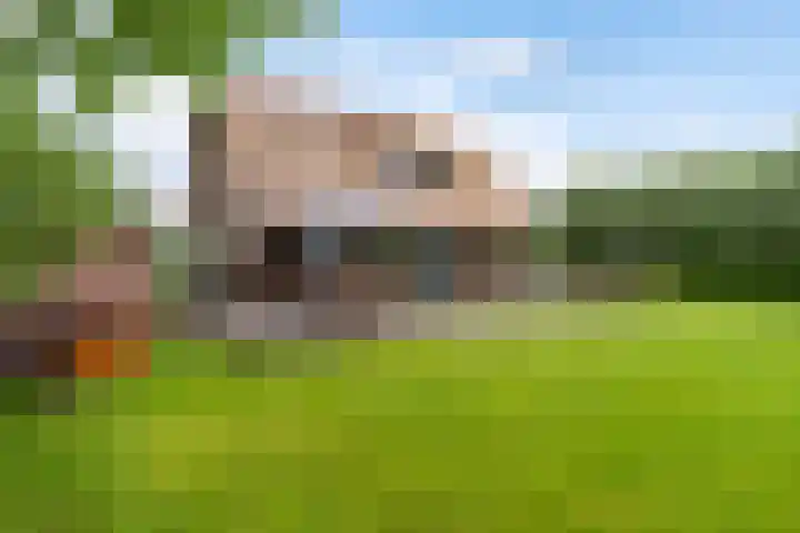 Oude Venen 29 Warten thumbnail 16