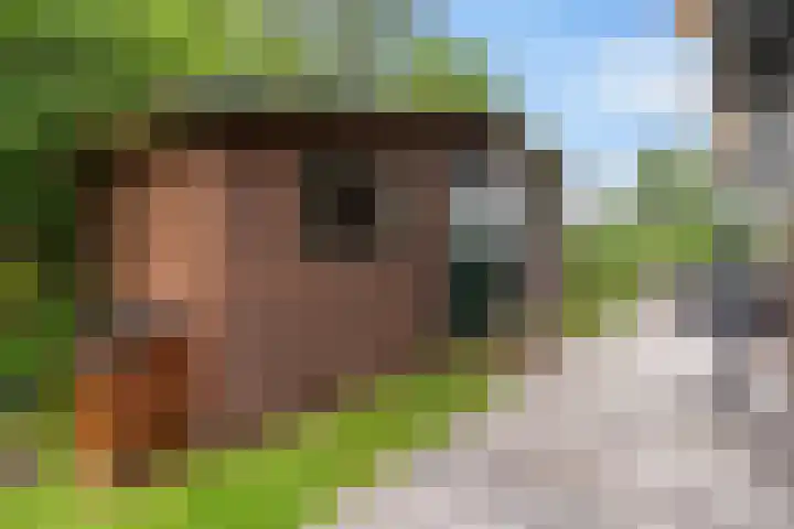 Oude Venen 29 Warten thumbnail 17