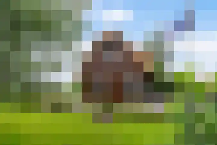 Oude Venen 29 Warten thumbnail 19