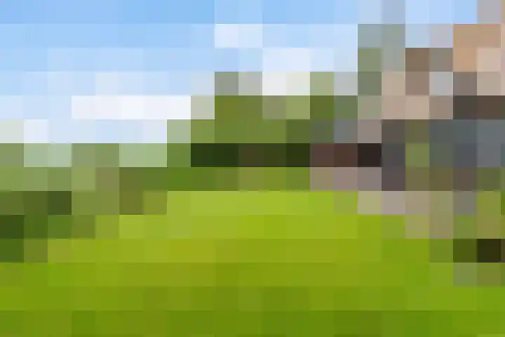 Oude Venen 29 Warten thumbnail 20