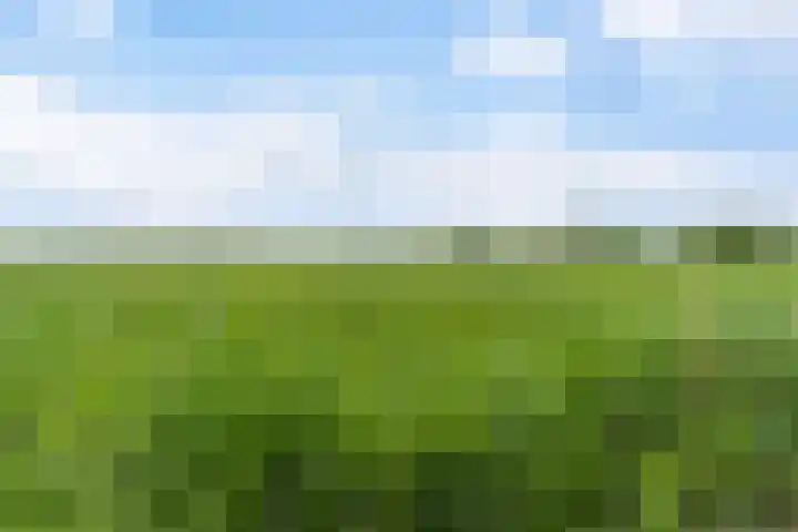 Oude Venen 29 Warten thumbnail 21