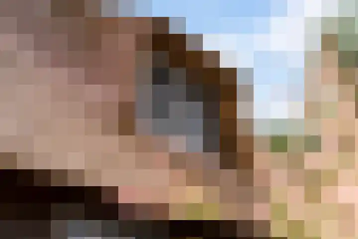 Oude Venen 29 Warten thumbnail 26