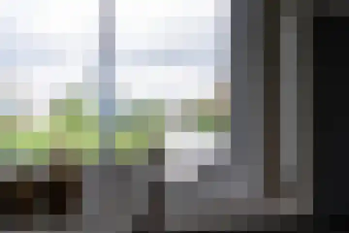 Oude Venen 29 Warten thumbnail 40
