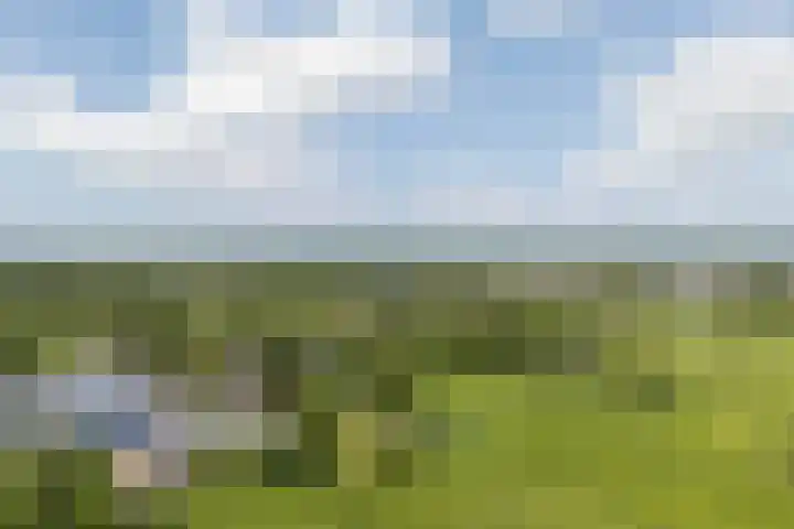 Oude Venen 29 Warten thumbnail 59
