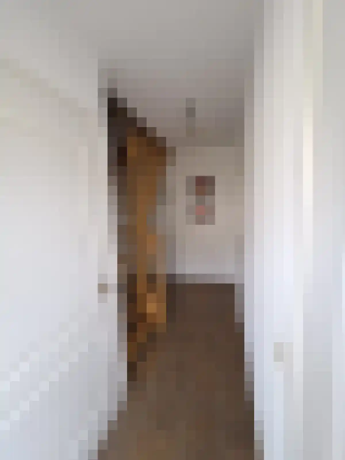 Oude Venloseweg 15 Velden thumbnail 4