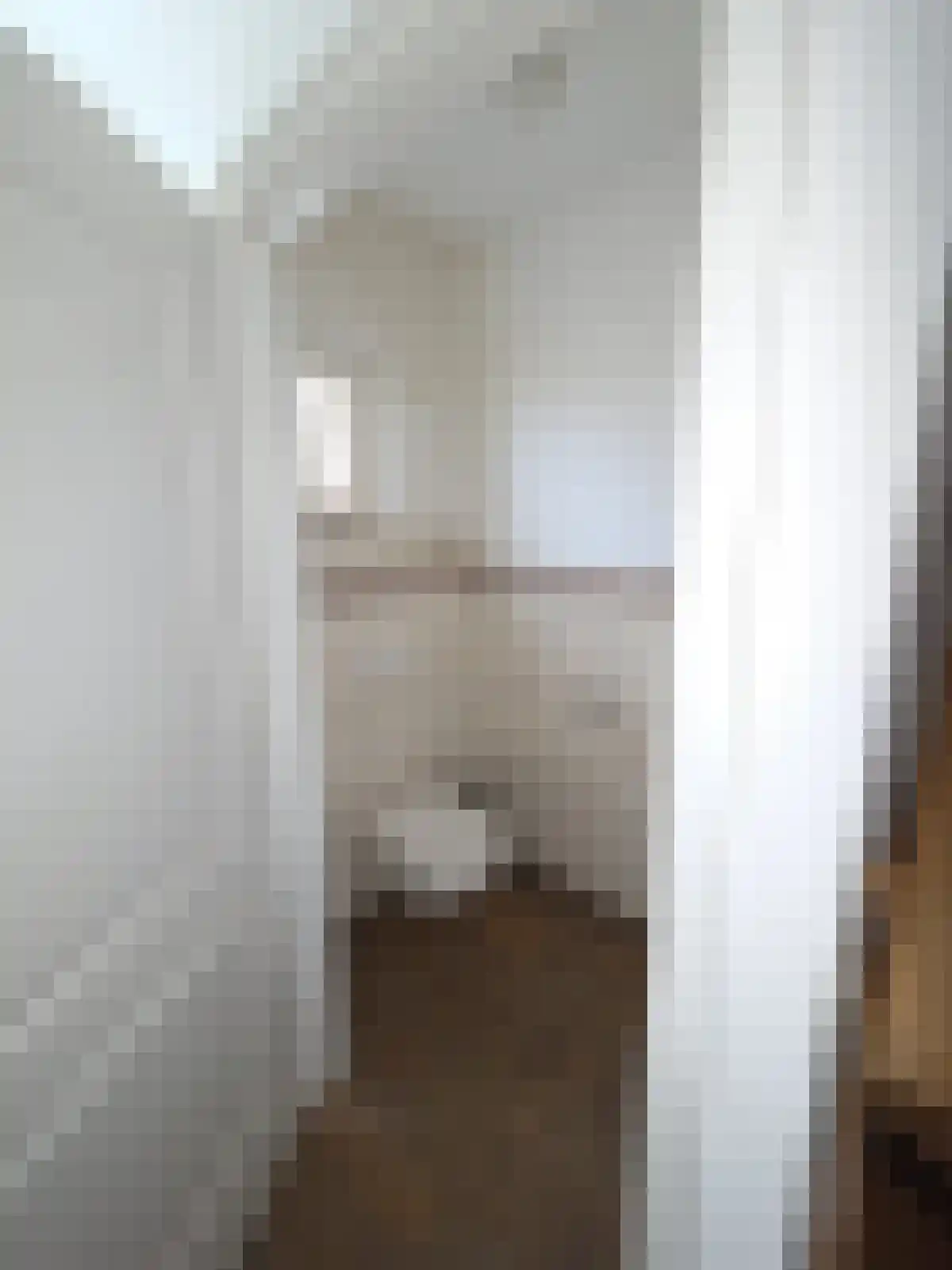Oude Venloseweg 15 Velden thumbnail 5