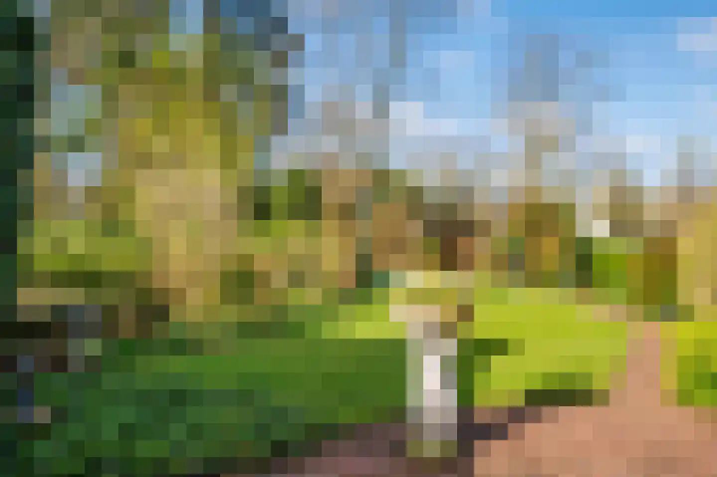 Oude Venloseweg 42 Velden thumbnail 47