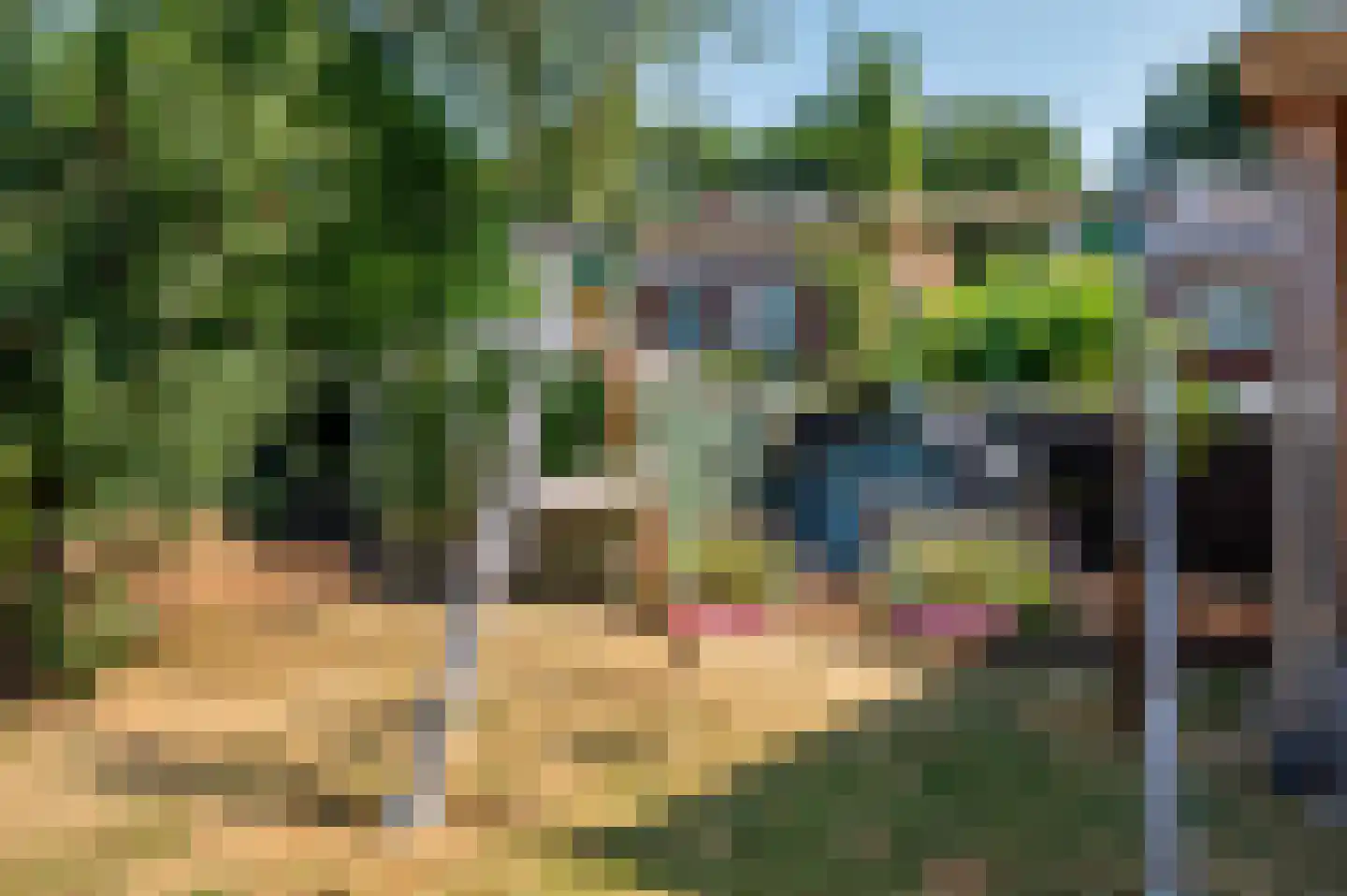 Oude Venloseweg 59 Velden thumbnail 34