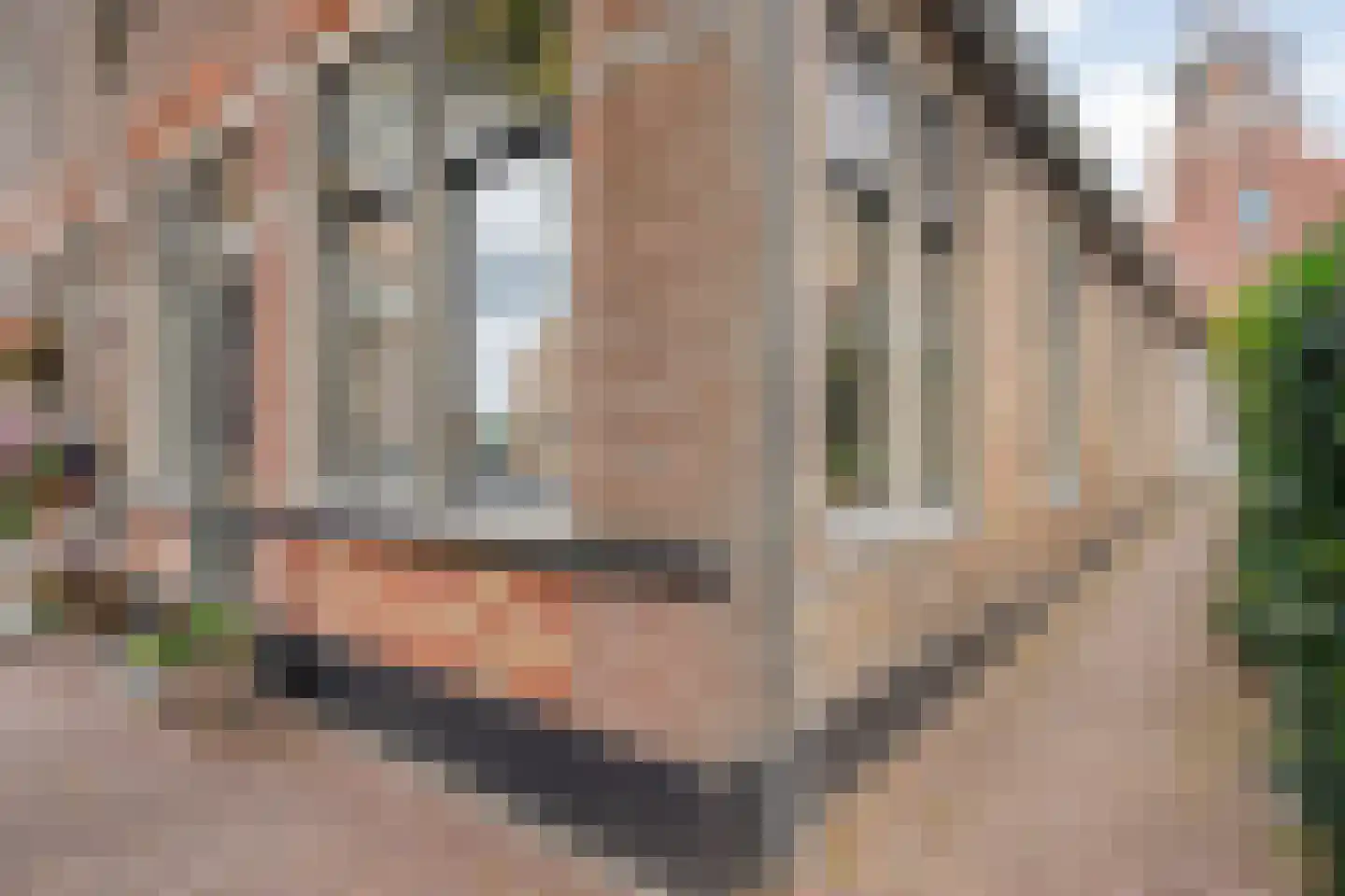 Oude Verlaat 4 Blokzijl thumbnail 10