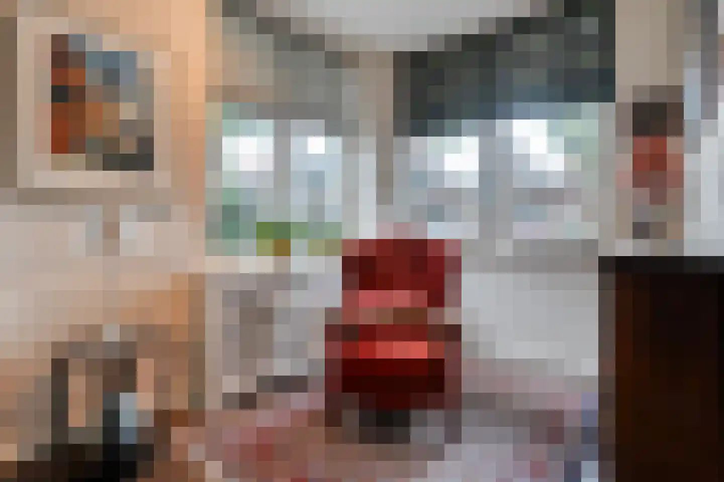 Oude Verlaat 4 Blokzijl thumbnail 15