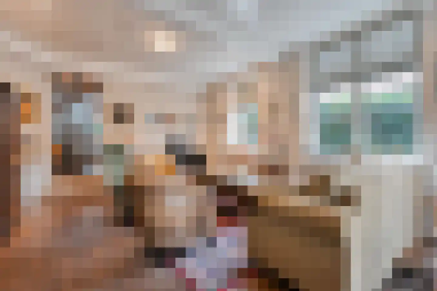 Oude Verlaat 4 Blokzijl foto 2