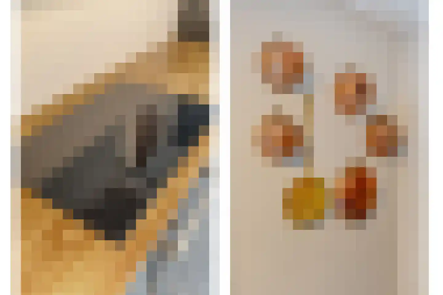 Oude Verlaat 4 Blokzijl thumbnail 22