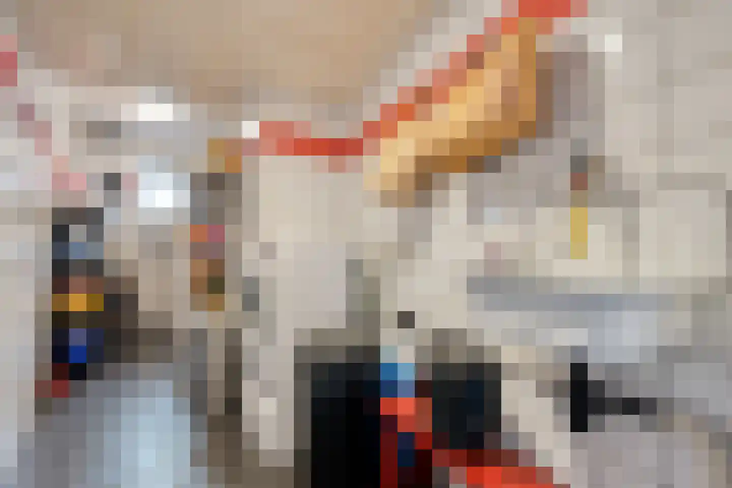 Oude Verlaat 4 Blokzijl thumbnail 33